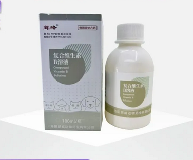 洛阳朗威2.png