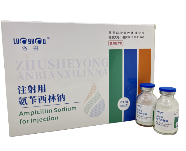 注射用氨苄西林钠_副本.png